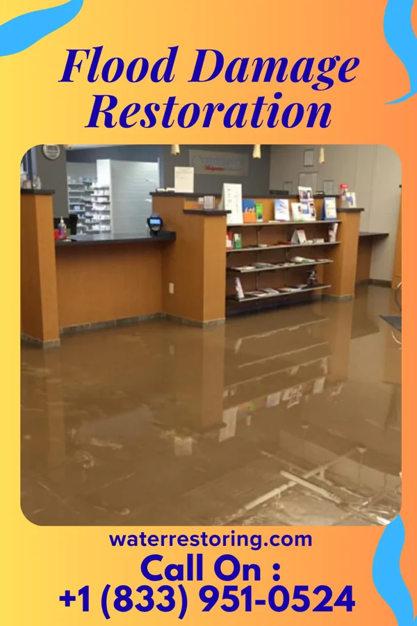 Flood Damage Restoration in Tierra Verde, TX
