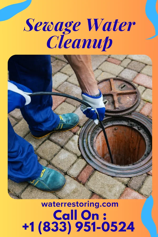 Sewage Water Cleanup in Tierra Verde, TX